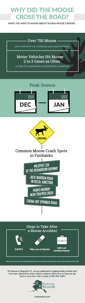 Infographic: Alaska Moose Crossing Accidents
